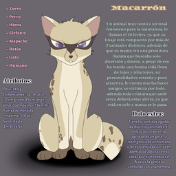 4_toes big_eyes digitigrade feet feral fox_ears fox_tail fur glistening glistening_eyes male monotone_background multicolored_body multicolored_fur presenting purple_eyes serious_face simple_background sitting solo spots text toes unknown_artist canid canine canis domestic_cat domestic_dog felid feline felis fox hyena mammal procyonid raccoon 1:1 absurd_res hi_res spanish_text translated
