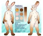 anthro balls biped buckteeth butt color_swatch erection eyebrows fingers foreskin fur genitals glans humanoid_genitalia humanoid_penis male penis scut_tail short_tail solo tail teeth text tongue tongue_out mytigertail marshall_(naaaaabe) lagomorph leporid mammal rabbit english_text hi_res model_sheet