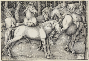 animal_genitalia animal_penis anus balls bodily_fluids butt cum cumshot detailed_background ejaculation equine_genitalia equine_penis female feral flared_penis forest genital_fluids genitals grass group half-erect hands-free hooves kick male male/female masturbation nude on_hind_legs open_mouth orgasm outside penis plant print_(medium) raised_tail rejection renaissance soul_devouring_eyes spontaneous_ejaculation standing tail teeth text tree underhoof woodcut hans_baldung_grien license_info public_domain equid equine horse mammal 1534 16th_century absurd_res ancient_art dated formal_art greyscale hi_res huge_filesize latin_text monochrome signature traditional_media_(artwork) translated