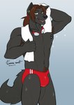 anthro clothing eyewear goggles looking_at_viewer male solo speedo swimwear wet wet_body grimsvault ryusei_iouko