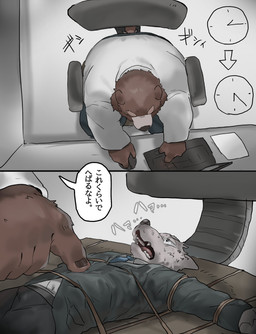 anthro big_butt black_nose bodily_fluids bound breathing brown_body brown_fur business_suit butt chair clock clothed clothing collared_shirt computer_keyboard cuff_(restraint) desk dialogue dress_shirt duo facesitting facial_tuft fangs fur furniture grey_body grey_fur humanoid_hands male male/male necktie nervous office_chair overweight overweight_male paper restraints shirt sitting_on_another slim suit sweat table talking_to_another teeth text topwear tuft moo2 bear canid canine canis domestic_dog mammal hi_res japanese_text translated