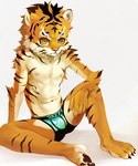 2015 anthro arm_tuft athletic athletic_male barefoot biped boxer_briefs boxer_briefs_only brown_body brown_claws brown_fur brown_pawpads brown_stripes cheek_tuft claws clothed clothing countershading elbow_tuft facial_tuft feet felid front_view fur hair kiske_7key looking_at_viewer male mammal mane mane_hair navel nipples orange_body orange_fur pantherine pawpads pecs pink_nose plantigrade redraw signature_brand simple_background sitting skimpy solo spread_legs spreading stripes tiger toes topless tuft underwear underwear_only white_background white_body white_fur yellow_eyes young young_anthro