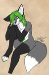 2024 anthro black_body black_fur blokfort breasts canid canine claws female fox fur green_claws green_eyes green_hair grey_body grey_fur hair looking_at_viewer mammal nude sitting white_body white_fur