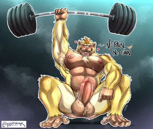 abs anthro anus ball_tuft balls barazoku barbell big_balls big_penis bodily_fluids breath crouching erection exercise feet foreskin front_view fur genital_fluids genitals humanoid_genitalia humanoid_penis male muscular muscular_anthro muscular_male narrowed_eyes nipples nude one_eye_closed pecs penis precum precum_squirt solo tuft weightlifting workout yellow_body yellow_fur crazydrak haplorhine mammal monkey primate hi_res