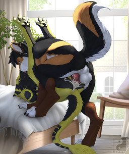 anal anal_penetration animal_genitalia animal_penis anthro anthro_on_anthro anthro_penetrated anthro_penetrating anthro_penetrating_anthro athletic athletic_anthro athletic_male balls black_claws black_tail bodily_fluids butt canine_genitalia canine_penis claws cum cum_in_ass cum_inside cum_on_butt cum_on_knot cum_on_own_knot cum_on_own_penis cum_on_partner cum_on_partner's_butt cum_on_penis cum_on_self cum_splatter day duo erection feet fur genital_fluids genitals green_body green_fur green_tail grey_eyes inner_ear_fluff inside kissing kissing_while_cumming kissing_while_penetrated kissing_while_penetrating knot lying male male/male male_anthro male_penetrated male_penetrating male_penetrating_male narrowed_eyes nude on_back orange_body orange_eyes orange_fur orange_tail penetration penile penile_penetration penis penis_in_ass perineum plant red_penis sex side_view smile spread_toes tail toes tuft white_balls white_body white_fur white_inner_ear_fluff white_tail window neash jackel_(hacksource553) xander_(silly_waffu) canid canine mammal sergal hi_res