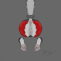 anthro anus bdsm bondage bound butt feet female female_anthro fur genitals grey_background grey_wall pawpads paws red_body red_fur simple_background solo stuck tail tail_anus tail_bondage tail_tied through_wall vulva wall_(structure) white_body white_fur hex-selfharm canid canine mammal 1:1 hi_res