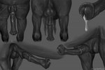 anatomically_correct anatomically_correct_genitalia anatomically_correct_penis animal_genitalia animal_penis balls between_legs big_flare black_penis bodily_fluids close-up deep_fossa equine_genitalia equine_penis erection feral flared_penis front_view genital_close-up genital_fluids genital_focus genital_shot genitals male male_feral medial_ring penis penis_close-up penis_focus penis_shot precum quadruped realistic_feral rear_view side_view solo urethra urethral_fossa vein veiny_penis scarlanya equid equine horse mammal black_and_white digital_media_(artwork) monochrome