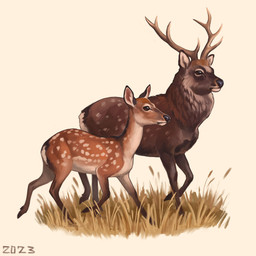 antlers black_nose brown_body brown_eyes brown_fur duo female feral fluffy fur grass horn male orange_body orange_fur plant quadruped simple_background spots white_background white_spots alexpahomov cervine deer mammal sika_deer 2023