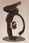 anthro blonde_hair blue_eyes elbow_stand gymnastics hair handstand male markings pawpads solo sport spots spotted_body dxm8 sebi felid leopard mammal pantherine hi_res
