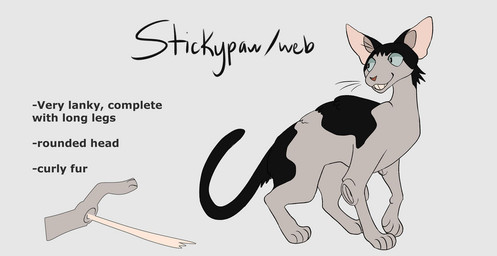 ambiguous_gender big_ears black_body black_fur feral feralized fur grey_body grey_fur long_tail mottled short_fur simple_background slim solo tail text white_background segamastergirl my_hero_academia warriors_(book_series) hanta_sero domestic_cat felid feline felis mammal 2019 crossover english_text model_sheet