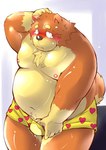 anthro belly black_nose blush bodily_fluids clothing humanoid_hands kemono male moobs navel nipples overweight overweight_male solo tears underwear wet tomoyamaru canid canine mammal 2013 unavailable_at_source