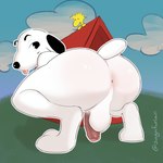 anthro anus backsack balls big_butt blep butt cloud crouching doghouse duo eyebrows fur genitals grass looking_back male male/male outside plant raised_eyebrow rear_view simple_background smile solo_focus tongue tongue_out white_body white_fur conditional_dnp singafurian peanuts_(comic) snoopy woodstock_(peanuts) avian beagle bird canid canine canis domestic_dog hunting_dog mammal scent_hound 1:1 digital_media_(artwork) hi_res shaded