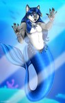 anthro blue_hair detailed_background femboy fin gem hair jewelry long_hair male necklace pawpads reflective_body scales solo split_form underwater water mailner maku_(masterofwolves99) canid canine canis hybrid mammal marine merfolk wolf absurd_res hi_res