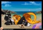 anthro beach bikini clothing duo female outside photo_background sand seaside smile swimwear two-piece_swimsuit azaleesh becky_(coltron20) thirash canid canine fenra mammal photography_(artwork)