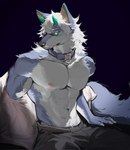 abs anthro barazoku biceps big_muscles biped blue_body blue_eyes blue_fur fur looking_at_viewer male muscular muscular_anthro muscular_male pecs shirtless_anthro shirtless_male solo white_body white_fur 24kbahamut canid canine canis mammal wolf 2024 hi_res