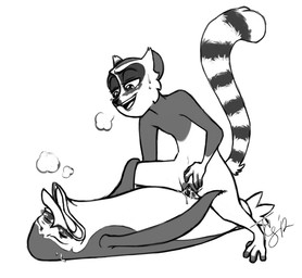 andromorph andromorph/male anthro bodily_fluids cowgirl_position cum cum_in_vagina cum_inside duo feet from_front_position genital_fluids genitals intersex intersex/male male on_bottom on_top orgasm prehensile_feet sex straddling toes vaginal vulva tsuyagami dreamworks madagascar_(series) king_julien kowalski_(madagascar) adelie_penguin avian bird lemur mammal penguin primate ring-tailed_lemur strepsirrhine monochrome
