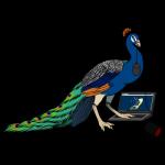 1:1 2016 alpha_channel avian beak bird blue_body blue_feathers computer computer_mouse conditional_dnp container cup digital_media_(artwork) e621 electronics esix feathered_wings feathers feet feral galliform head_crest hi_res knotty_curls laptop looking_at_viewer male mascot orange_eyes peacock_feather peafowl phasianid ratte simple_background solo standing talons toes transparent_background wings