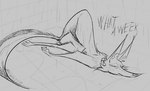 anthro bathing collar collar_only female nude on_ground pawpads paws shower showering simple_background solo text brewfilter 15_(brewfilter) canid canine fox grey_fox mammal urocyon digital_drawing_(artwork) digital_media_(artwork) english_text hi_res monochrome sketch