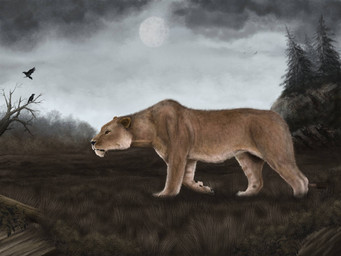 black_body black_feathers black_nose dead_tree evergreen_tree feathers feral fur grass moon pine_tree plant quadruped solo tan_body tan_fur tree walking whisker_spots whiskers mihin89 ambient_bird cave_lion felid mammal pantherine prehistoric_species 2014 4:3