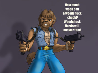 5_fingers anthro beard belt black_nose bottomwear brown_beard brown_body brown_claws brown_eyebrows brown_eyes brown_facial_hair brown_fur brown_hair buckteeth claws clothed clothing eyebrows facial_hair fingers fur gun hair holding_object holding_ranged_weapon holding_weapon male pants ranged_weapon solo standing teeth text topwear vest weapon tamiasthechipmunk chuck_norris ground_squirrel groundhog mammal marmot rodent sciurid 4:3 english_text hi_res shaded