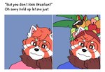 anthro apple banana clothing coconut drupe_(fruit) eyewear food fruit fruit_hat fur glasses grape male melon pear plant red_body red_fur shirt solo text topwear watermelon bariumfox but_you_don't_look_gay ailurid mammal red_panda 2022 digital_media_(artwork) english_text hi_res meme