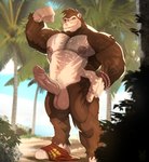 anthro balls beard biceps biped body_hair bracelet bulge chest_hair deltoids detailed_background erection facial_hair fur genitals glans humanoid_genitalia humanoid_penis jewelry looking_at_viewer male muscular muscular_anthro muscular_male nipples outside palm_tree pecs penis plant quads solo standing tree flufflecraft donkey_kong_(series) nintendo donkey_kong_(character) ape haplorhine mammal primate 2024 absurd_res digital_drawing_(artwork) digital_media_(artwork) hi_res