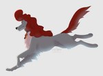 ambiguous_gender black_nose collar feet feral fluffy fur grey_body grey_fur hair paws quadruped red_hair red_tail running simple_background tail white_background azzai dog_in_boots canid canine canis domestic_dog mammal 2018 character_request shaded watermark