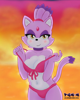 anthro bikini blush breasts cleavage clothed clothing collar female fur looking_at_viewer navel off_shoulder outside purple_body purple_fur smile solo sunset swimwear teasing two-piece_swimsuit undressing water yellow_eyes pgm-m sega sonic_the_hedgehog_(series) blaze_the_cat domestic_cat felid feline felis mammal 2015 hi_res