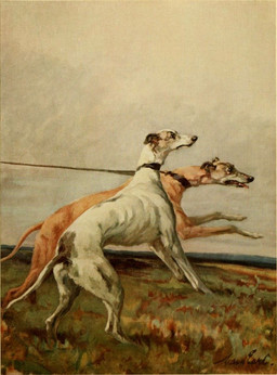ambiguous_gender black_nose brown_body brown_fur collar day duo feet feral floppy_ears fur grass leash leash_pull leashed_collar multicolored_body multicolored_fur open_mouth outside plant running side_view snout tail tan_body tan_fur toes tongue tongue_out white_body white_fur maud_earl canid canine canis domestic_dog greyhound hunting_dog mammal sighthound 1910 20th_century ancient_art full-length_portrait portrait shaded signature soft_shading traditional_media_(artwork)