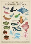 ambiguous_gender blue_body countershade_torso countershading dorsal_fin feral fin green_body pink_body tail tail_fin text julio_lacerda nintendo pokemon alomomola aquatic_gastropod arthropod basculin blue-striped_basculin cnidarian crustacean crustle dwebble east_sea_gastrodon east_sea_shellos eelektrik eelektross finneon fish frillish gastrodon gastropod generation_4_pokemon generation_5_pokemon jellicent legendary_pokemon lumineon manaphy mantyke marine mollusk nudibranch phione pokemon_(species) ray_(fish) red-striped_basculin sea_slug shellos slug stunfisk tynamo west_sea_gastrodon west_sea_shellos biological_illustration english_text technical_illustration zoological_illustration