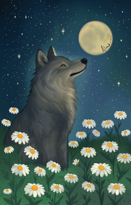 ambiguous_gender daisy_(flower) feral flower fur light moon moonlight night plant solo star tail almacaritoaylen_(artist) canid canine canis mammal wolf digital_media_(artwork) hi_res signature