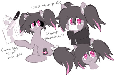 black_clothing black_hoodie black_topwear brown_hair clothed clothed_feral clothing female feral fur hair highlights_(coloring) hoodie knife mouth_mask pink_body pink_eyes pink_fur pink_highlights smile solo text topwear twintails_(hairstyle) clockstops3am conditional_dnp hasbro my_little_pony camera_shy_(clockstops3am) fan_character earth_pony equid equine horse mammal pony english_text hi_res model_sheet
