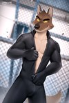 anthro black_bodysuit black_clothing black_nose black_skinsuit bodysuit bulge burglar burglary clothing countershade_torso countershading crime criminal fence fur grey_body grey_fur male male_anthro muscular muscular_anthro muscular_male navel pecs robber robbery robbing skinsuit smile solo stealing thief thug tight_clothing undressing unzipping yellow_sclera zipper zipper_down canyne_khai dreamworks the_bad_guys mr._wolf_(the_bad_guys) canid canine canis mammal wolf 2:3 hi_res