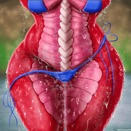 anthro belly_focus bikini blurred_background bra breasts camel_toe clothing female pink_body pink_scales red_body red_scales scales solo swimwear two-piece_swimsuit underwear water wet wide_hips heartlessangel3d mythology adelina_the_love_dragon dragon mythological_creature mythological_scalie scalie 1:1 2026 absurd_res hi_res lineless