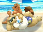 anthro beach belly big_belly brown_body brown_fur bulge clothing drinking duo eyes_closed fur kemono male moobs overweight overweight_male sitting swimwear rockmai3 sengoku_puzzle shadow_ieyasu tokugawa_ieyasu canid canine mammal raccoon_dog tanuki 2024 4:3 absurd_res hi_res