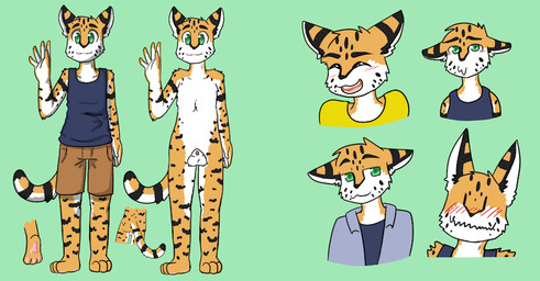 animal_genitalia anthro clothed clothing genitals green_eyes male nude sheath solo fiona_(artist) dee_the_serval felid feline mammal serval model_sheet