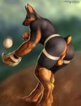 action_pose anthro athletic athletic_anthro athletic_male backsack ball balls baseball_(ball) baseball_(sport) baseball_field baseball_glove bent_over black_body black_fur black_nose blurred_background brown_body brown_fur butt casual_exposure catching clothed clothing concentration cropped_ears detailed_background digitigrade dirt fur genitals gloves handwear jockstrap leaning leaning_forward male mostly_nude motion_blur outside pose short_tail side_view skimpy solo sport tail text three-quarter_view topless underwear satanic_monkey canid canine canis dobermann domestic_dog mammal pinscher hi_res url