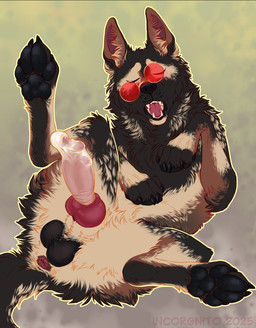 anatomically_correct anatomically_correct_genitalia anatomically_correct_penis animal_genitalia animal_penis anus balls black_body black_fur black_pawpads bodily_fluids brown_body brown_fur canine_genitalia canine_penis claws condom cum cumshot digitigrade ejaculation erection eyes_closed eyewear fangs feral filled_condom finger_claws fur genital_fluids genitals glasses glasses_askew hands-free knot knotted_penis looking_pleasured lying male multicolored_body multicolored_fur narrowed_eyes on_back pawpads penis sexual_barrier_device snout solo spread_legs spreading teeth toe_claws wearing_condom wearing_glasses incorgnito canid canine canis domestic_dog german_shepherd herding_dog mammal pastoral_dog hi_res