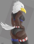 american_flag american_flag_bikini anthro bikini blue_eyes clothed clothing female flag_bikini hand_on_hip looking_at_viewer rear_view solo swimwear tail two-piece_swimsuit underwear united_states_of_america tarkish american_eagle accipitrid accipitriform avian bald_eagle bird eagle sea_eagle absurd_res hi_res