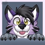 anthro biped black_body black_ears black_fur black_hair black_nose blep border claws cute_fangs fangs fur grey_background hair looking_at_viewer male monotone_hair multicolored_body multicolored_ears multicolored_fur paws purple_body purple_ears purple_fur simple_background solo teeth tongue tongue_out two_tone_ears white_border yellow_eyes gaokun canid canine mammal 1:1 headshot_portrait icon portrait watermark