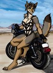 4_toes anthro barefoot black_nose breasts brown_body brown_fur brown_hair claws cleavage clothed clothing desert feet female fingerless_gloves fur gloves hair handwear hindpaw humanoid_hands motorcycle one-piece_swimsuit outside paws pose skimpy smile solo swimwear toe_claws toes vehicle thelivingshadow sahara_(nicnak044) canid canine canis coyote mammal 2022 hi_res pinup signature