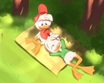 absurd_res anatid anseriform avian bird brother_(lore) brothers_(lore) clothing disney duck ducktales ducktales_(2017) duo grass hat headgear headwear hi_res huey_duck limettin louie_duck lying male male/male outside plant romantic romantic_ambiance sibling_(lore) tree young