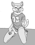 anonymous_artist black_and_white cheek_tuft clothed clothing college cosmo_(byu) costume cougar facial_tuft felid feline football_jersey fursuit hand_on_leg hand_on_thigh hi_res human jersey kneeling knees_bent line_art male mammal mascot mascot_costume mascot_suit monochrome pantsless pinup pose school sharp_teeth simple_background solo tail teeth tongue tongue_out tuft