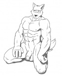 abs anthro balls biceps biped canid canine canis confusion flaccid fur genitals kneeling male mammal monochrome muscular muscular_anthro muscular_male nipples nude pecs penis poop_(artist) pose sketch solo wolf