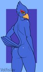 anthro blue_body blue_feathers butt feathers femboy green_eyes hand_on_butt hand_on_own_butt looking_at_viewer male rear_view solo standing conditional_dnp volfislav nintendo star_fox falco_lombardi avian bird falcon falconid 3:5 hi_res portrait three-quarter_portrait