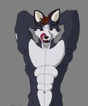 abs anthro fur grey_background grey_body grey_fur licking licking_lips male muscular muscular_male nude simple_background solo tongue tongue_out white_body white_fur neelam_(artist) canid canine canis mammal wolf 5:6 absurd_res hi_res