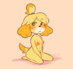 anthro biped blush breasts female fur hair looking_at_viewer navel nipples nude simple_background sitting solo yellow_body yellow_fur seiishin animal_crossing nintendo isabelle_(animal_crossing) canid canine canis domestic_dog mammal shih_tzu toy_dog