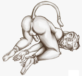 anus backsack ball_gag balls bdsm bondage bound collar cuff_(restraint) erection gag gagged genitals handcuffs male metal_cuffs nude penis presenting raised_tail restraints shackles simple_background solo submissive submissive_male tail tail_anus white_background runtimefailure_(artist) haplorhine mammal monkey primate