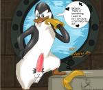 anthro balls beak clothing erection genitals gloves handwear male penis solo text what why moonwolf03 dreamworks madagascar_(series) the_penguins_of_madagascar kowalski_(madagascar) adelie_penguin avian bird penguin english_text