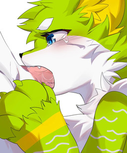 anthro blue_eyes blush bodily_fluids close-up erection fellatio fengxiang genitals male open_mouth oral pawpads penile penis sex solo tears vein veiny_penis canid canine mammal 5:6 hi_res